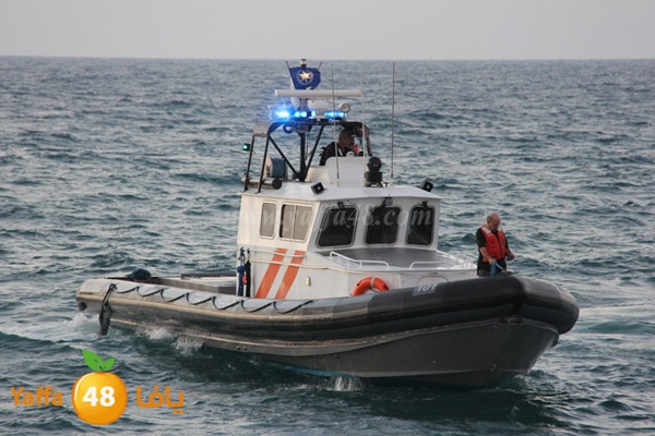 delferaniom3 (7).JPG